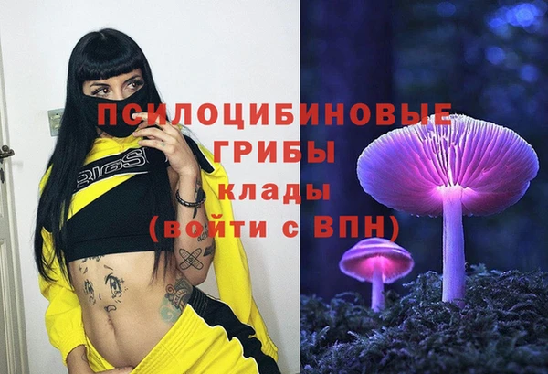 mix Верхний Тагил