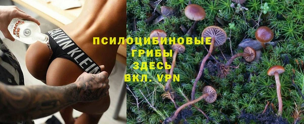 не бодяженный Бородино