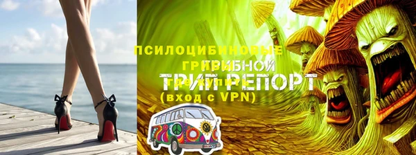 ПСИЛОЦИБИНОВЫЕ ГРИБЫ Бронницы