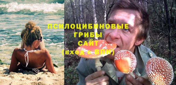 ПСИЛОЦИБИНОВЫЕ ГРИБЫ Бронницы