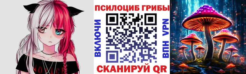 Галлюциногенные грибы Magic Shrooms  дарнет шоп  Володарск 